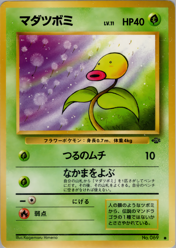  マダツボミ